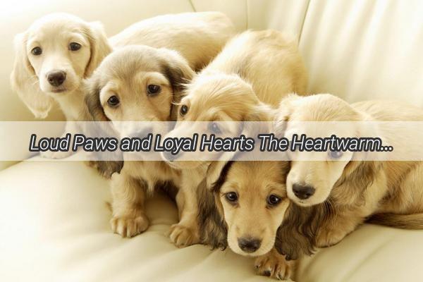 Loud Paws and Loyal Hearts The Heartwarming Story of a Dogs Unconditional Love